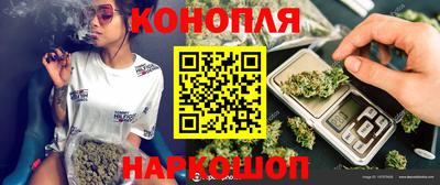 гашик Шахты