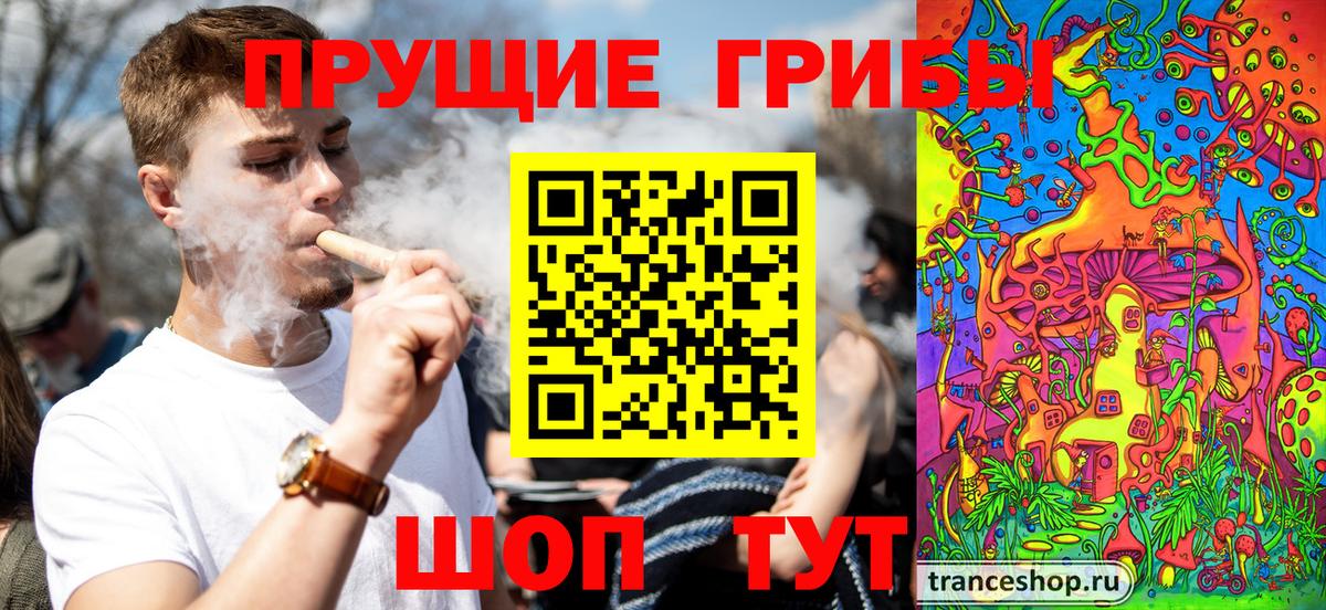 Псилоцибиновые грибы мицелий Мирный