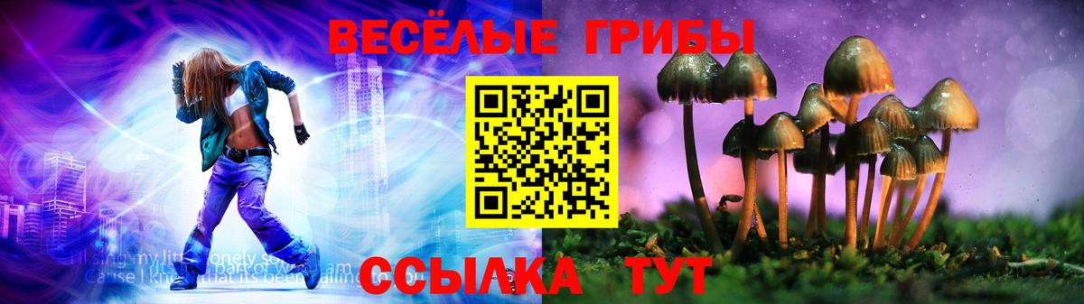 Мирный  где продают   Вход с VPN  Галлюциногенные грибы Cubensis 